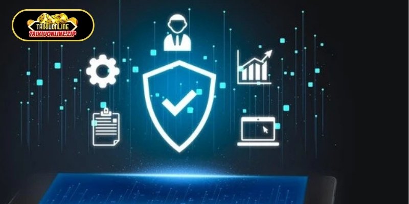Chính sách thu thập thông tin và mục đích sử dụng quyền riêng tư