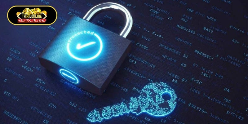 Quyền lợi và trách nhiệm của người chơi đối với quyền riêng tư
